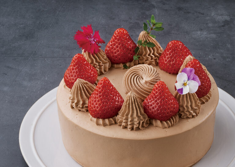 チョコ生いちご デコレーション